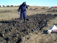 Bioremediation in Oil Fields