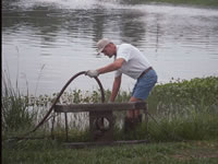 Bioremediation of Sludge